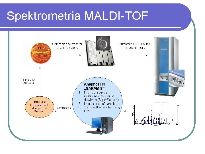 Spektrometria MALDI-TOF 
