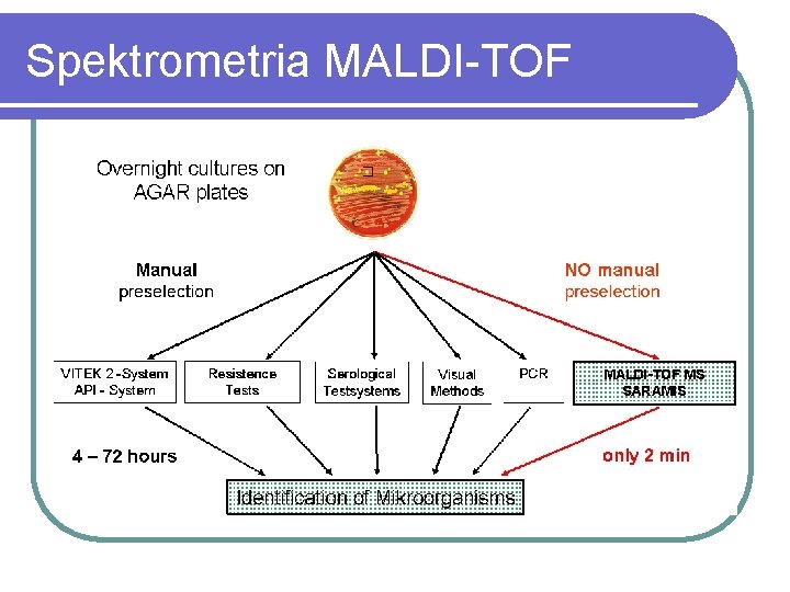 Spektrometria MALDI-TOF 