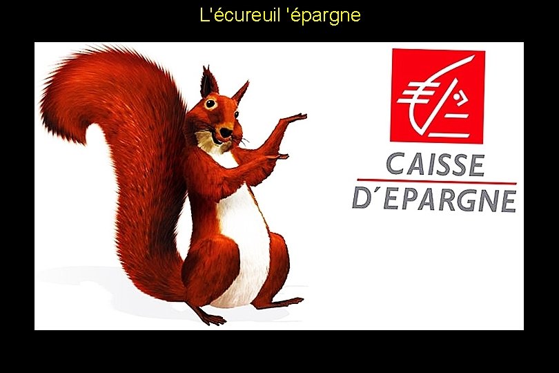 L'écureuil 'épargne 