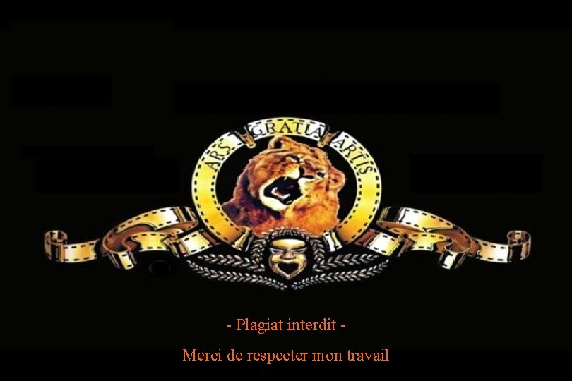 - Plagiat interdit Merci de respecter mon travail 
