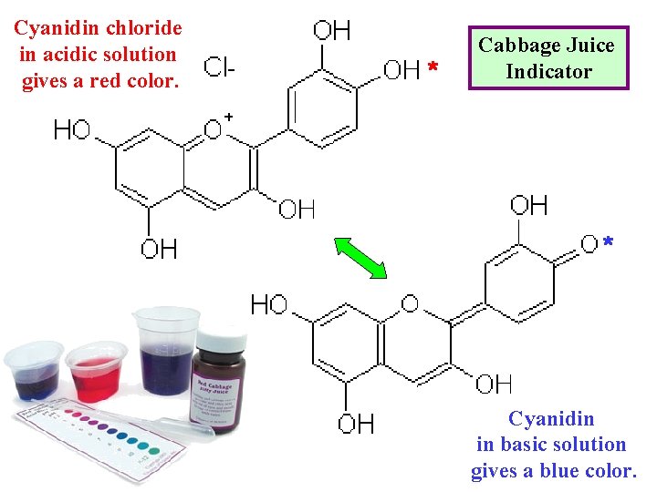 Cyanidin chloride in acidic solution gives a red color. * Cabbage Juice Indicator *