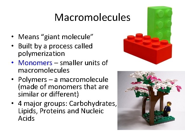 Macromolecules • Means “giant molecule” • Built by a process called polymerization • Monomers