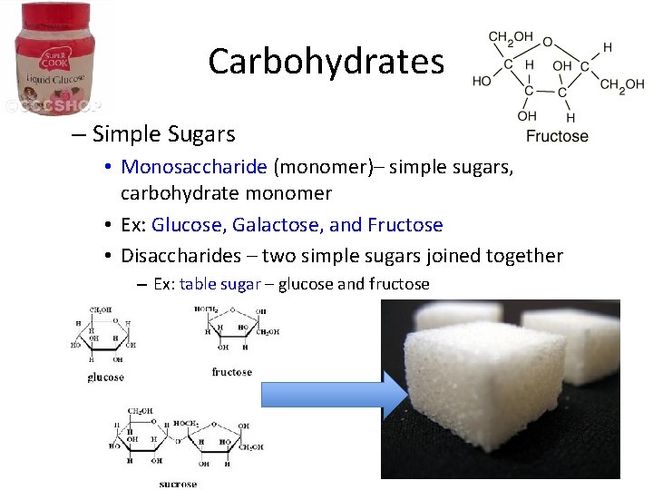 Carbohydrates – Simple Sugars • Monosaccharide (monomer)– simple sugars, carbohydrate monomer • Ex: Glucose,