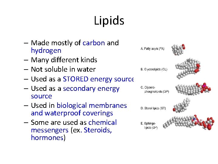 Lipids – Made mostly of carbon and hydrogen – Many different kinds – Not