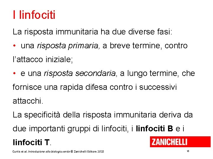 I linfociti La risposta immunitaria ha due diverse fasi: • una risposta primaria, a