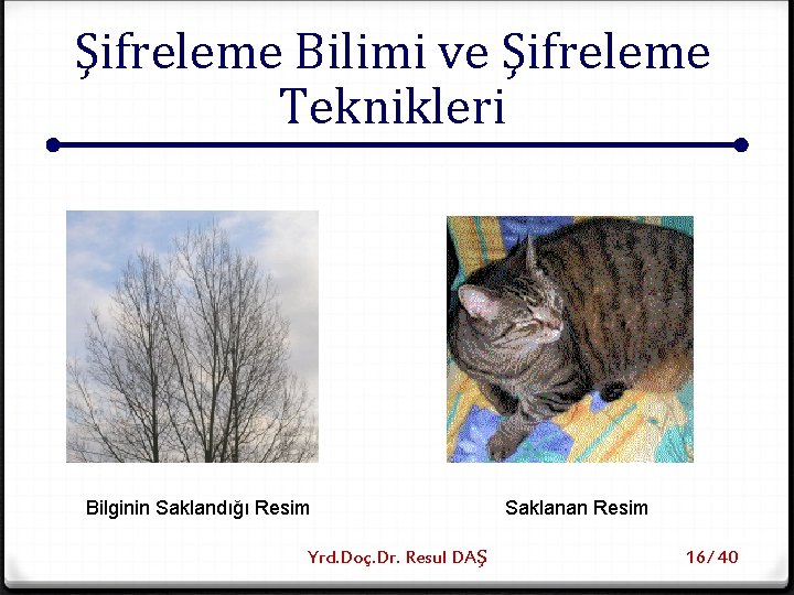 Şifreleme Bilimi ve Şifreleme Teknikleri Bilginin Saklandığı Resim Yrd. Doç. Dr. Resul DAŞ Saklanan