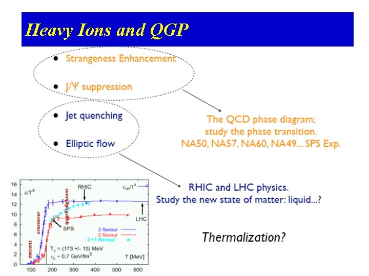 Heavy Ions and QGP 