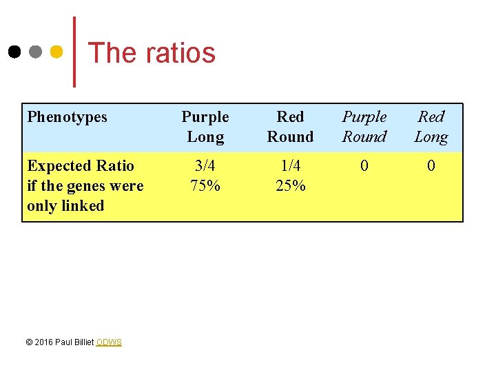 The ratios Phenotypes Expected Ratio if the genes were only linked © 2016 Paul