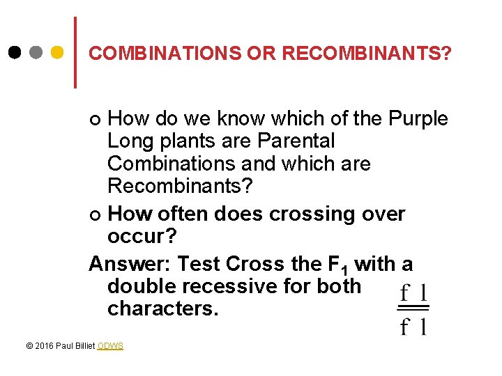 COMBINATIONS OR RECOMBINANTS? How do we know which of the Purple Long plants are