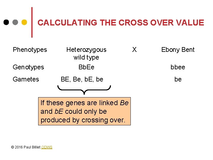 CALCULATING THE CROSS OVER VALUE Phenotypes Gametes Heterozygous wild type Bb. Ee BE, Be,