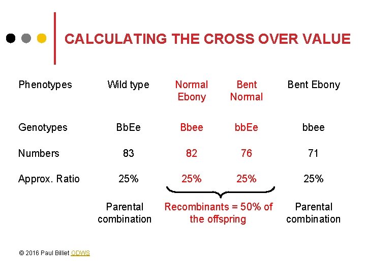 CALCULATING THE CROSS OVER VALUE Phenotypes Wild type Normal Ebony Bent Normal Bent Ebony