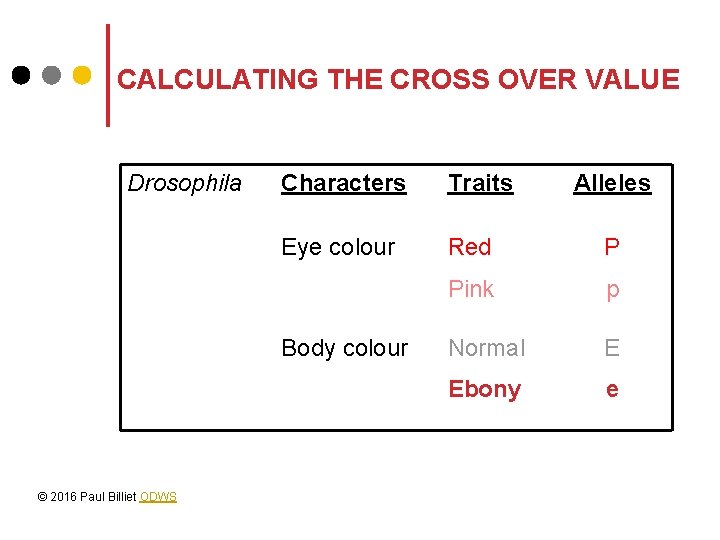 CALCULATING THE CROSS OVER VALUE Drosophila Characters Traits Eye colour Red P Pink p