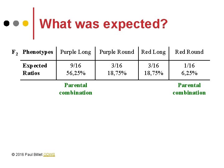 What was expected? F 2 Phenotypes Expected Ratios Purple Long Purple Round Red Long