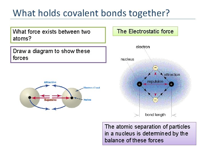 What holds covalent bonds together? What force exists between two atoms? The Electrostatic force