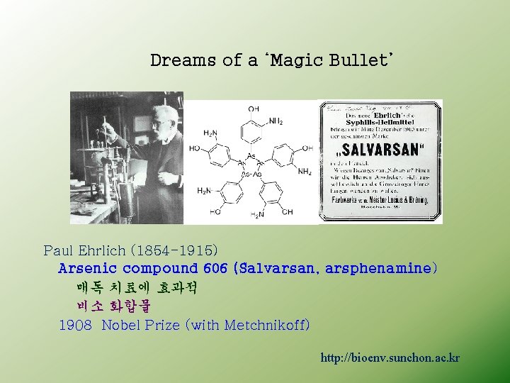 Dreams of a ‘Magic Bullet’ Paul Ehrlich (1854 -1915) Arsenic compound 606 (Salvarsan, arsphenamine)