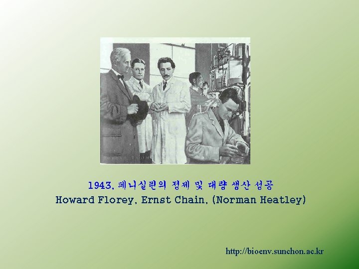 1943, 페니실린의 정제 및 대량 생산 성공 Howard Florey, Ernst Chain, (Norman Heatley) http: