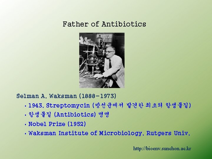 Father of Antibiotics Selman A. Waksman (1888 -1973) § 1943, Streptomycin (방선균에서 발견한 최초의