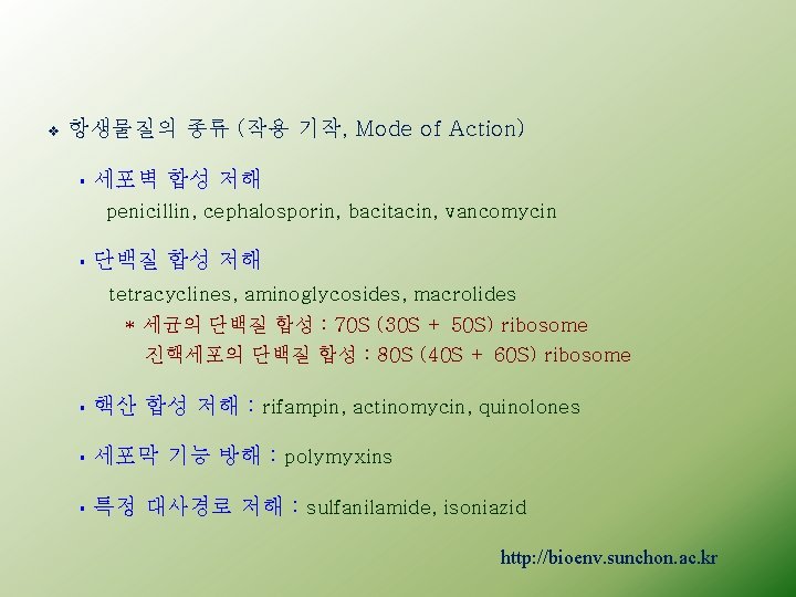 v 항생물질의 종류 (작용 기작, Mode of Action) § 세포벽 합성 저해 penicillin, cephalosporin,