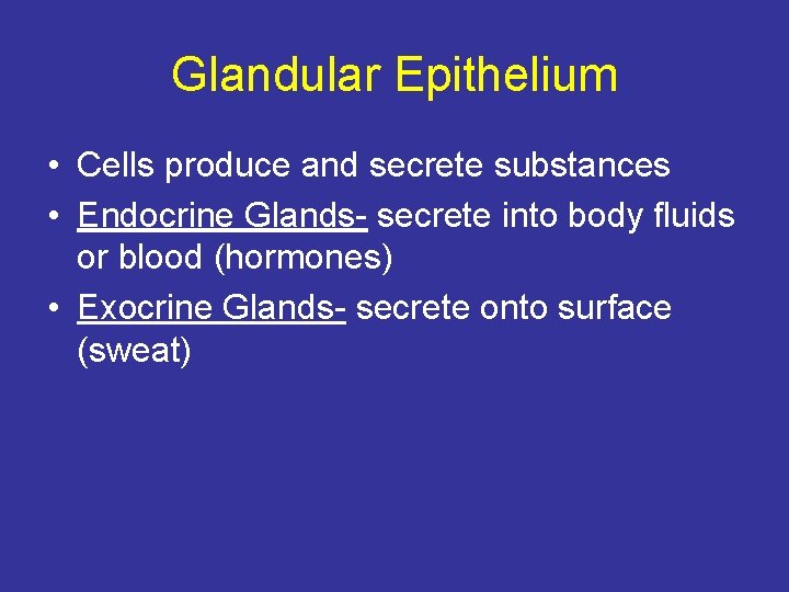 Glandular Epithelium • Cells produce and secrete substances • Endocrine Glands- secrete into body