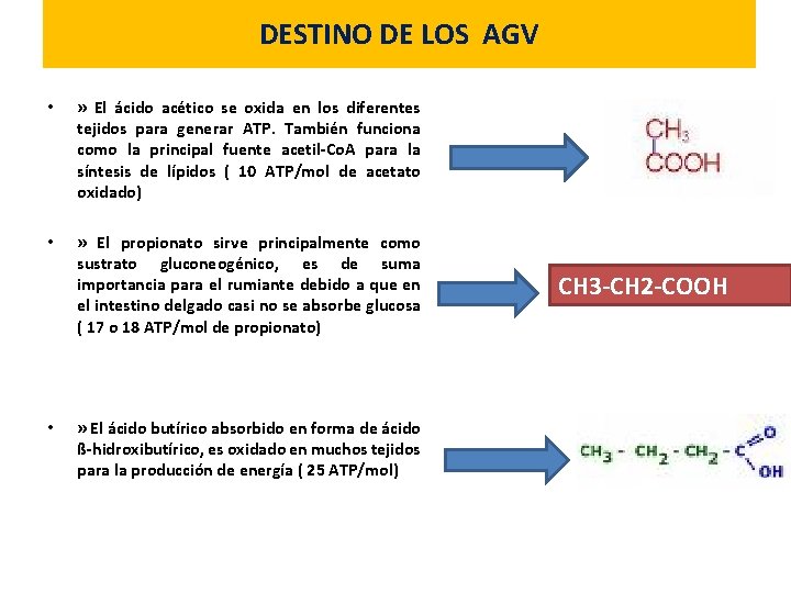 DESTINO DE LOS AGV • » El ácido acético se oxida en los diferentes