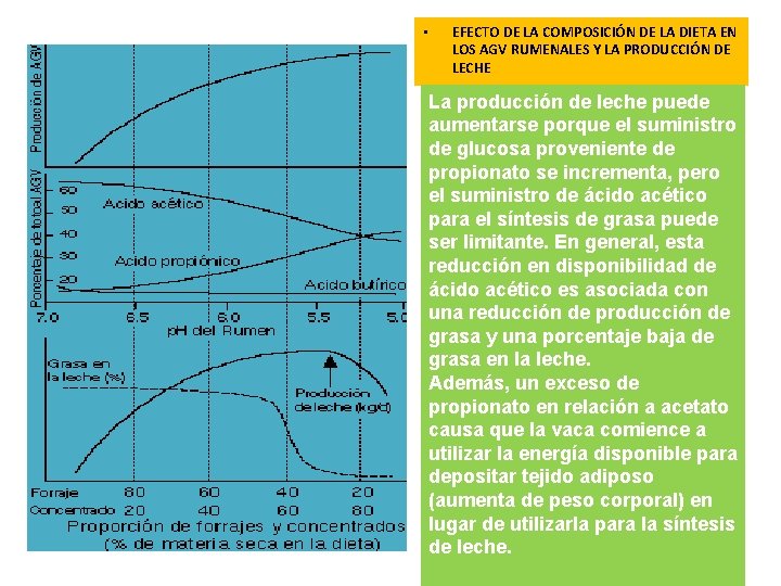  • EFECTO DE LA COMPOSICIÓN DE LA DIETA EN LOS AGV RUMENALES Y