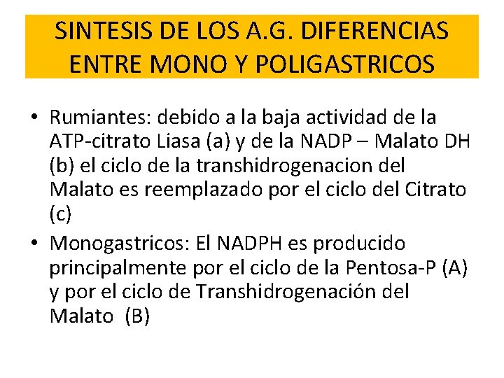 SINTESIS DE LOS A. G. DIFERENCIAS ENTRE MONO Y POLIGASTRICOS • Rumiantes: debido a