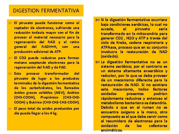 DIGESTION FERMENTATIVA El piruvato puede funcionar como el captador de electrones, sufriendo una reducción