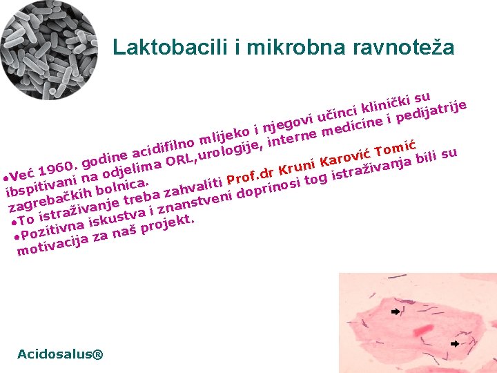 Laktobacili i mikrobna ravnoteža i su k č i n ije li r k