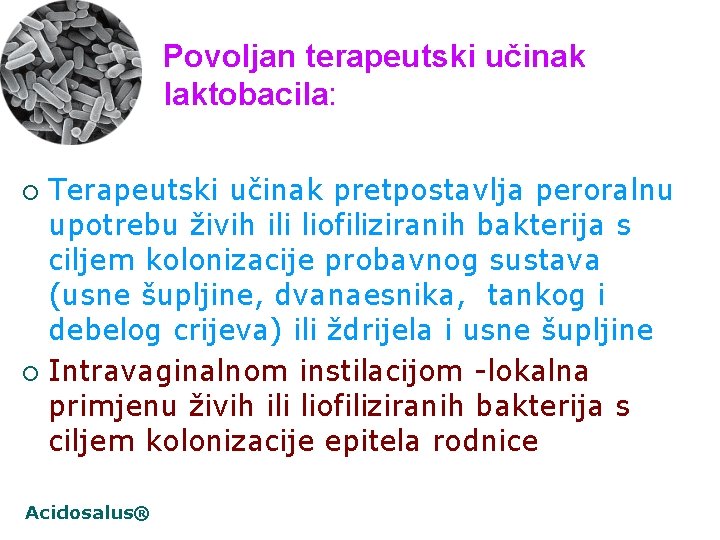 Povoljan terapeutski učinak laktobacila: Terapeutski učinak pretpostavlja peroralnu upotrebu živih ili liofiliziranih bakterija s