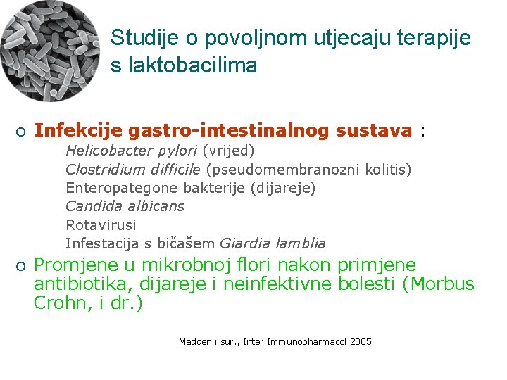 Studije o povoljnom utjecaju terapije s laktobacilima ¡ Infekcije gastro-intestinalnog sustava : Helicobacter pylori