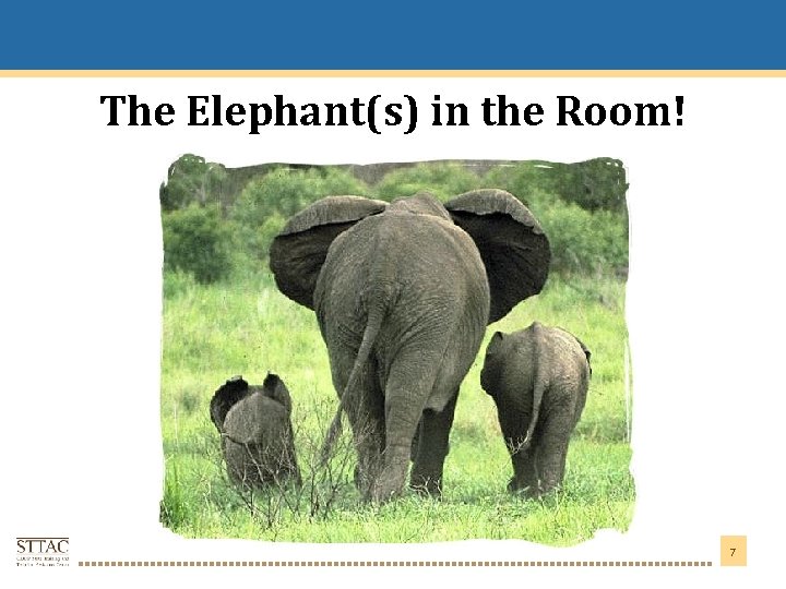 Title Goes Here The Elephant(s) in the Room! 7 