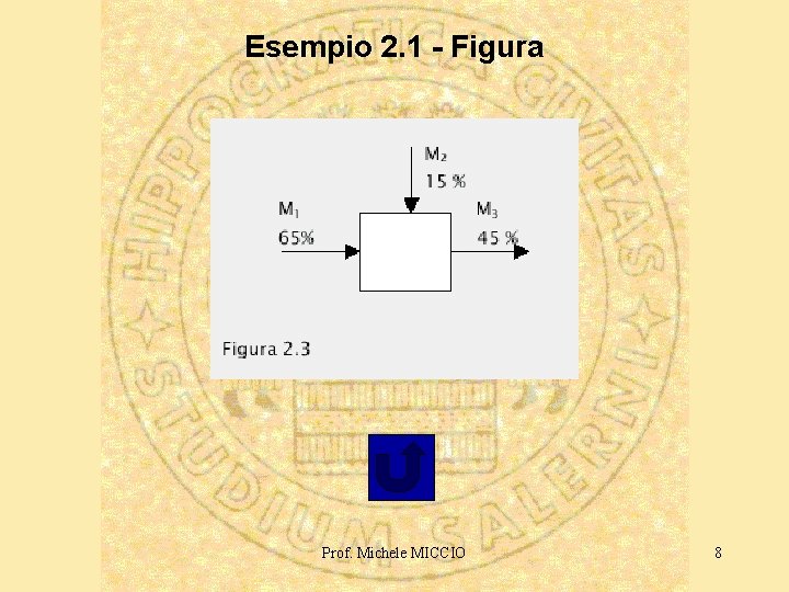 Esempio 2. 1 - Figura Prof. Michele MICCIO 8 