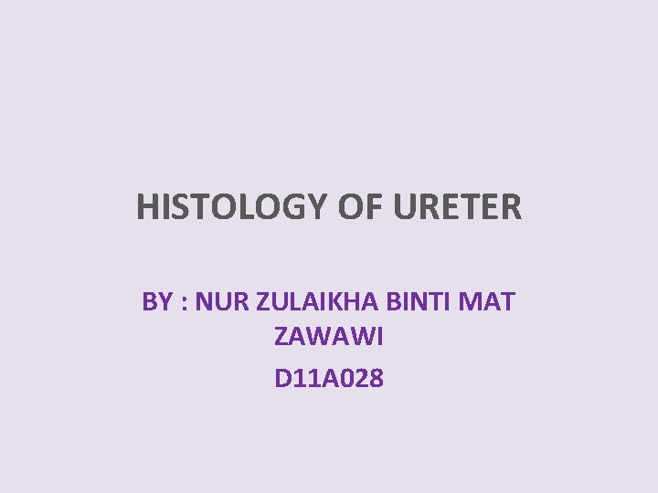 HISTOLOGY OF URETER BY : NUR ZULAIKHA BINTI MAT ZAWAWI D 11 A 028