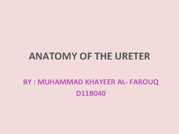 ANATOMY OF THE URETER BY : MUHAMMAD KHAYEER AL- FAROUQ D 11 B 040