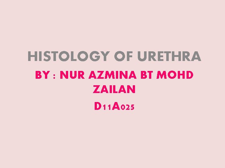 HISTOLOGY OF URETHRA BY : NUR AZMINA BT MOHD ZAILAN D 11 A 025