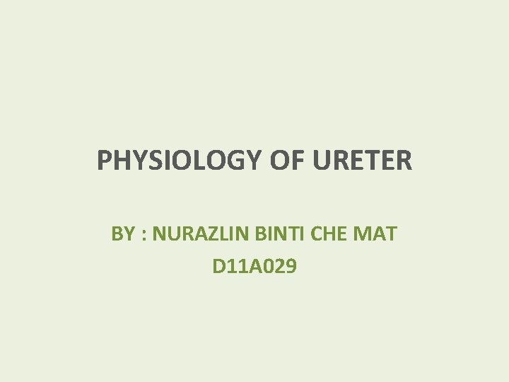 PHYSIOLOGY OF URETER BY : NURAZLIN BINTI CHE MAT D 11 A 029 