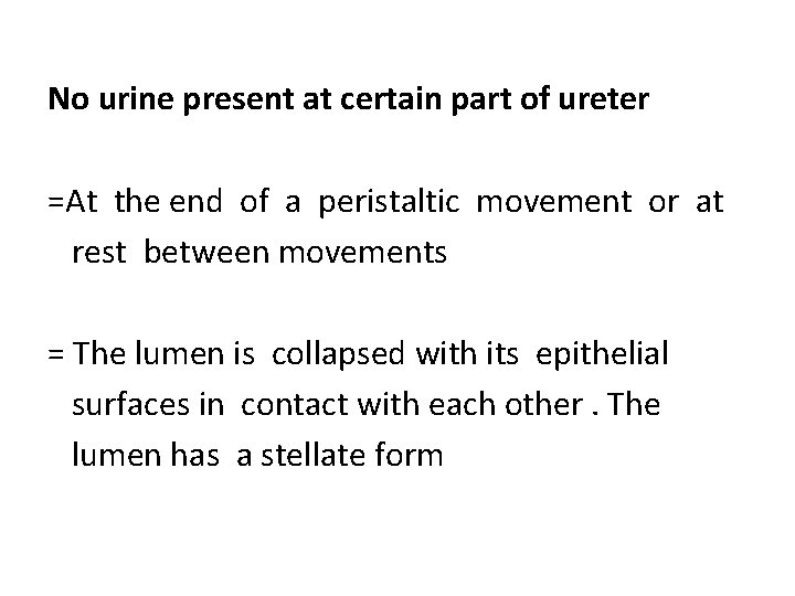 No urine present at certain part of ureter =At the end of a peristaltic