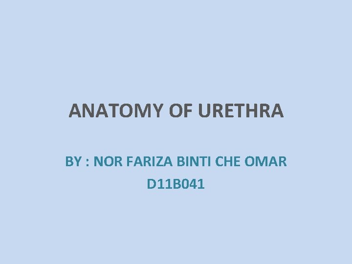 ANATOMY OF URETHRA BY : NOR FARIZA BINTI CHE OMAR D 11 B 041