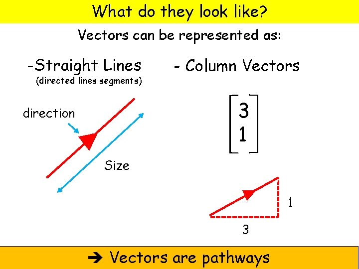 What do they look like? Vectors can be represented as: -Straight Lines (directed lines