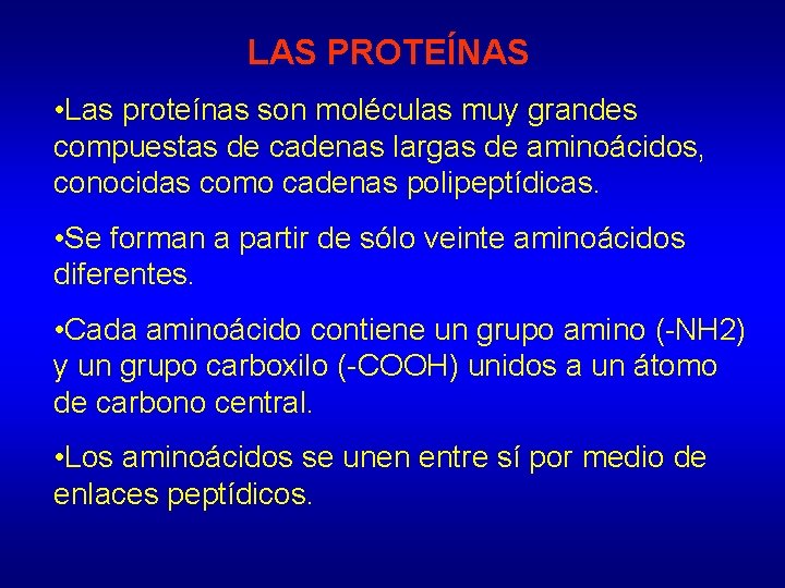 LAS PROTEÍNAS • Las proteínas son moléculas muy grandes compuestas de cadenas largas de