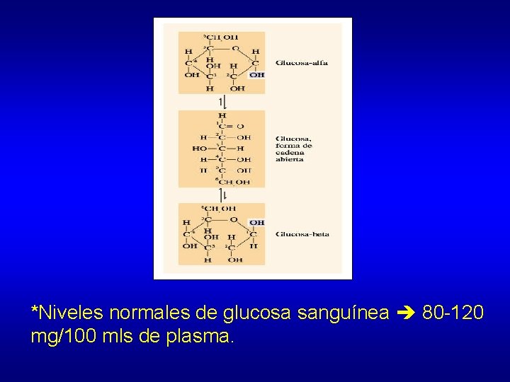 *Niveles normales de glucosa sanguínea 80 -120 mg/100 mls de plasma. 