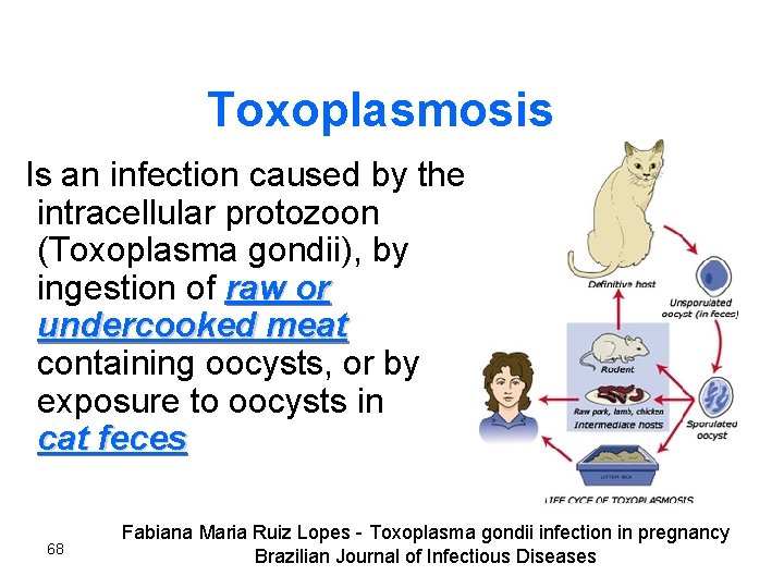Toxoplasmosis Is an infection caused by the intracellular protozoon (Toxoplasma gondii), by ingestion of