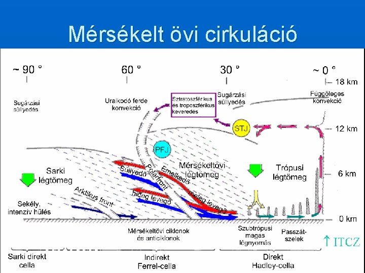 Mérsékelt övi cirkuláció 