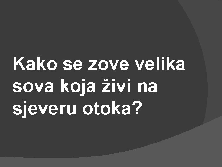 Kako se zove velika sova koja živi na sjeveru otoka? 