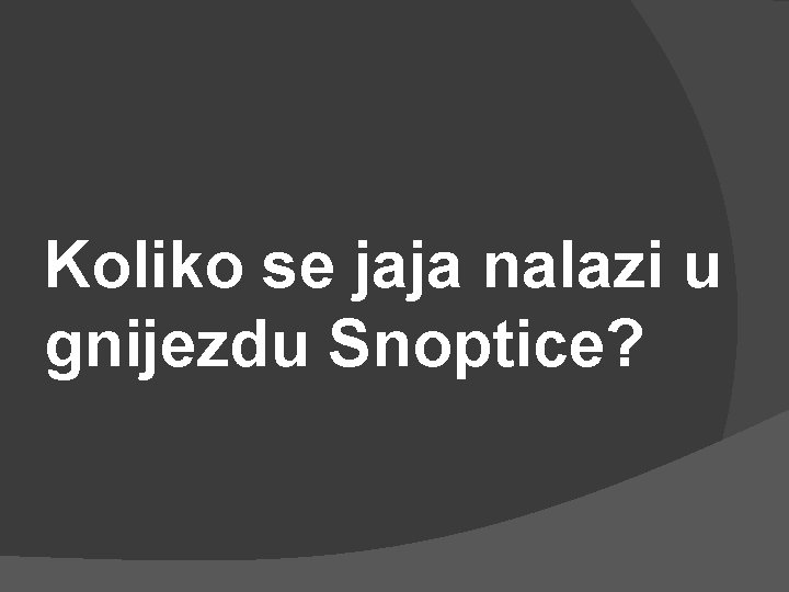 Koliko se jaja nalazi u gnijezdu Snoptice? 