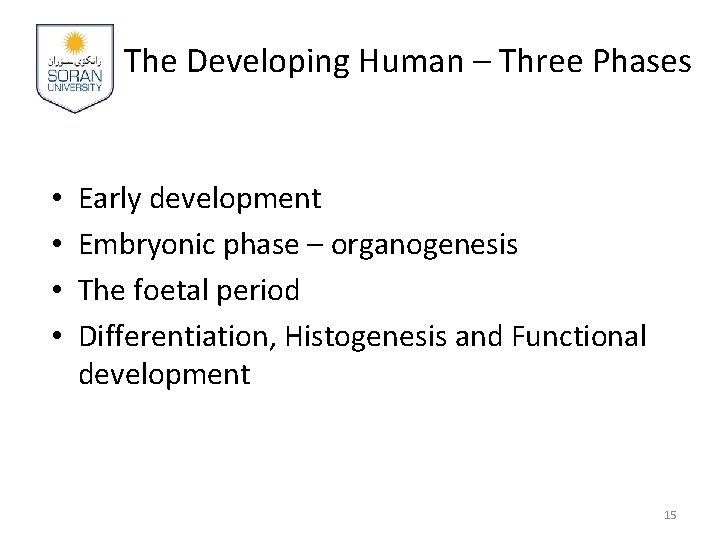 The Developing Human – Three Phases • • Early development Embryonic phase – organogenesis