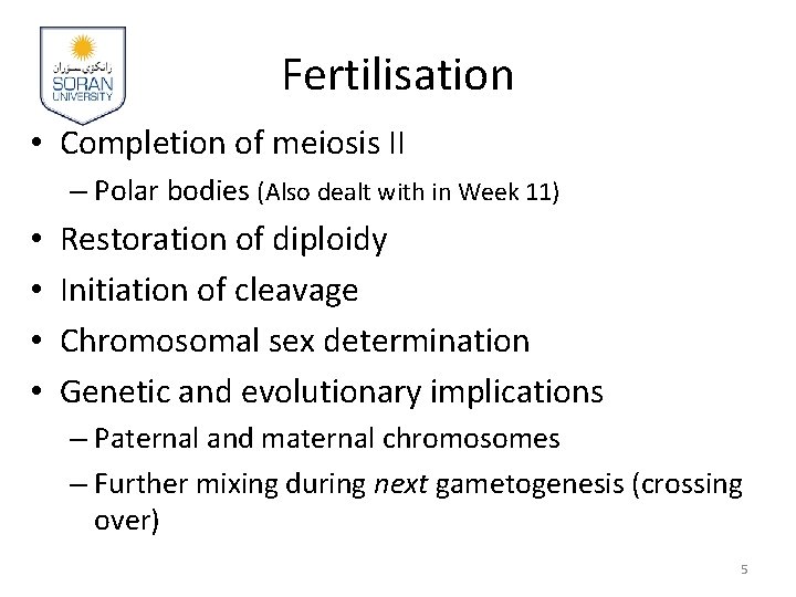 Fertilisation • Completion of meiosis II – Polar bodies (Also dealt with in Week