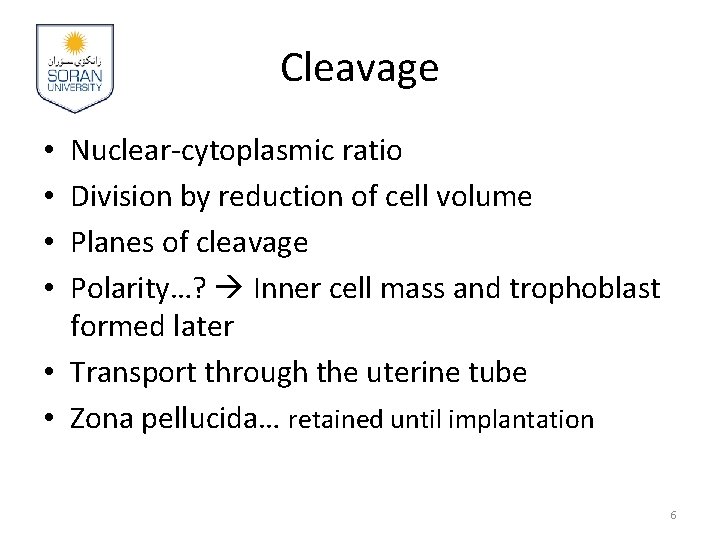 Cleavage Nuclear-cytoplasmic ratio Division by reduction of cell volume Planes of cleavage Polarity…? Inner