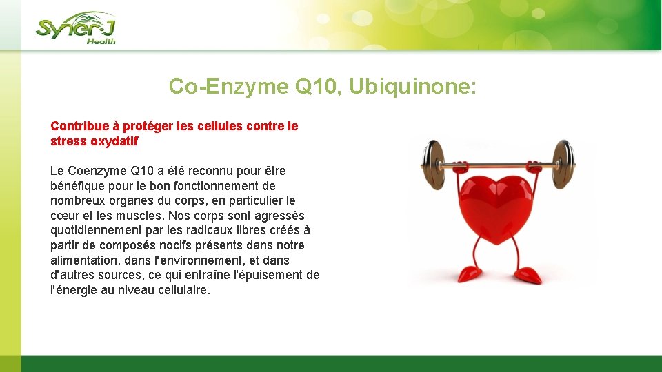 Co-Enzyme Q 10, Ubiquinone: Contribue à protéger les cellules contre le stress oxydatif Le