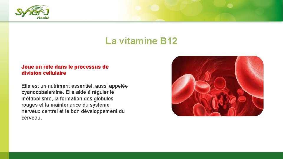 La vitamine B 12 Joue un rôle dans le processus de division cellulaire Elle